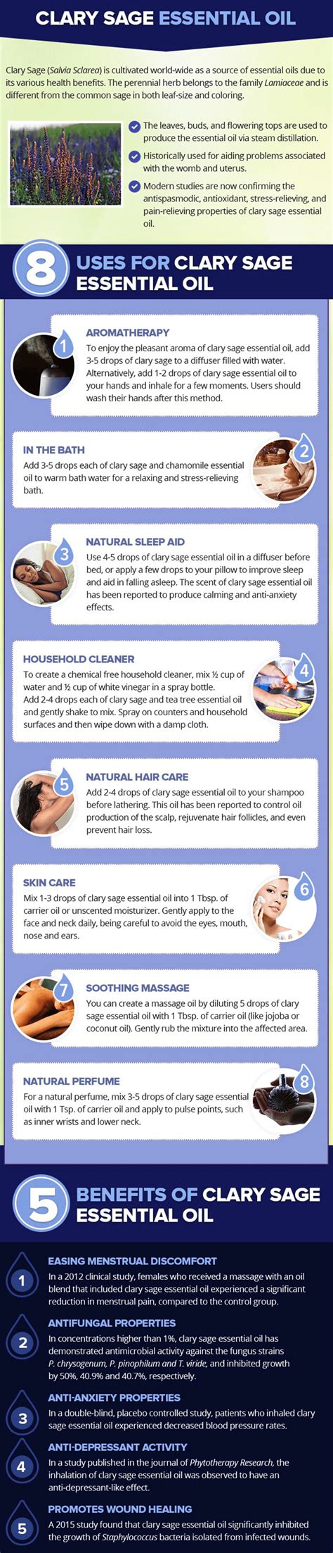 Clary sage essential oil uses. Clary Sage Essential Oil: Benefits, Uses & Best Company To ...