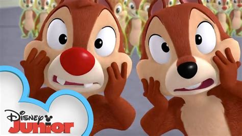 Realist Tropical Expirat Mickey Mouse Clubhouse Chip And Dale Amazon