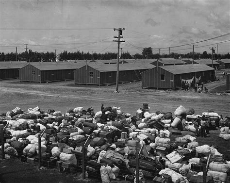 Concentration Camp Facts History And Definition Britannica