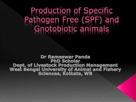 Production Of Specific Pathogen Free And Gnotobiotic Animals Ppt