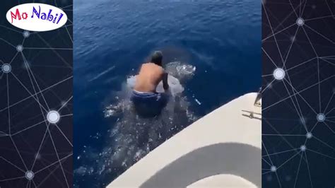 رجل شجاع يقفز و يسبح اعلى ظهر سمكة القرش وسط مجموعة كبيرة من القروش شاهد رد فعل اصدقائة Youtube