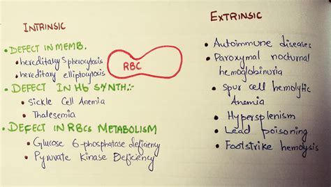 Medical Study Hemolytic Anemia Causes Symptoms Cure Types