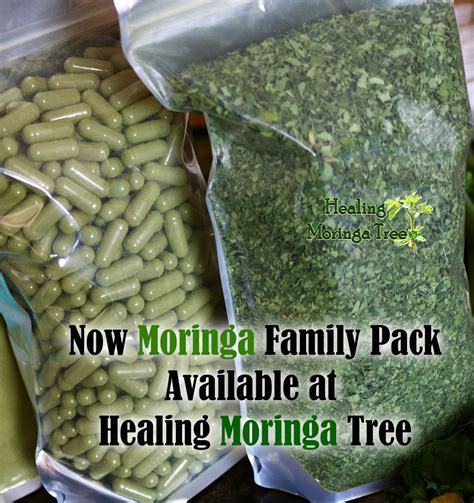 Organic Moringa Leaf Capsules Bulk Moringa