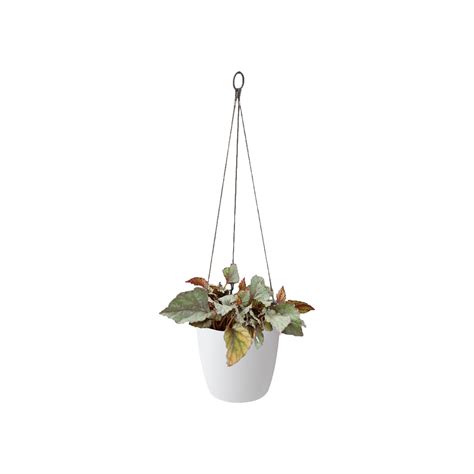 Brussels Hanging Basket 18cm White Elho Give Room To Nature