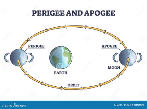 Perigee And Apogee Moon Cycle Or Explained Orbit Around Earth Outline