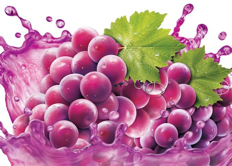 Purple grapes - Grape Png Image & Grape Clip art | Grapes, Purple grapes, Grape juice