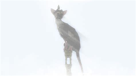 Trico The Last Guardian Playstation 4 Hd Wallpapers Desktop And