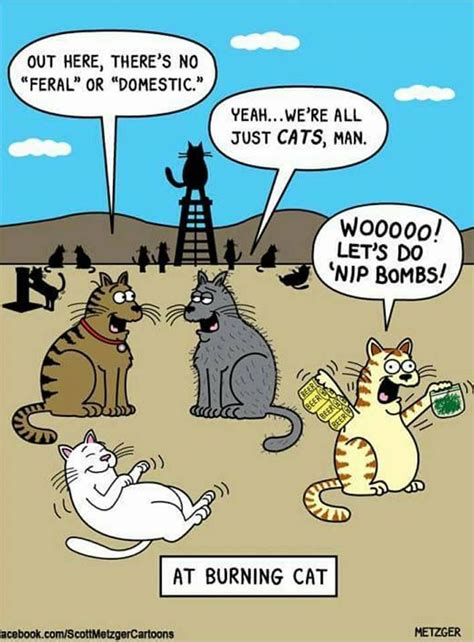 Pin By Barbara Shoup On Cats ~ Kitty Cartoons Cat Comics Cat Jokes