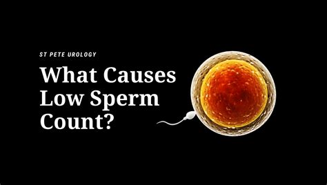 Low Sperm Count Archives St Pete Urology