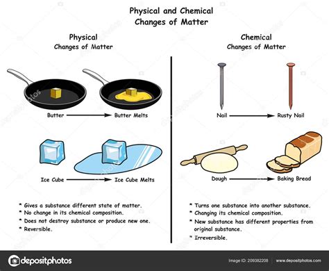 Cambios Físicos Químicos Materia Diagrama Infográfico Una Comparación