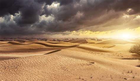 Turning the Sahara Green: Scientists Announce Plan to Bring Vegetation ...