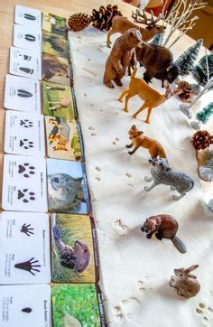 Magischer bagger morphle mehr episoden karikatur für kinder kinderlieder mila und morphle. Die 11 besten Bilder von Tierspuren im Schnee in 2018 ...