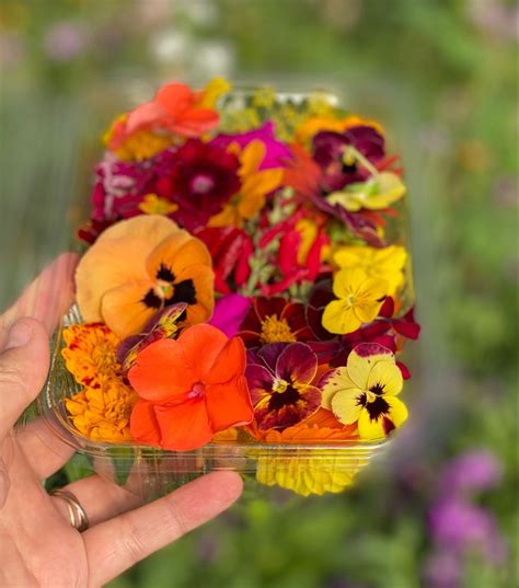 We did not find results for: Bespoke organic edible flowers in 2021 | Edible flowers ...