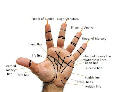 Palm Reading Guide How To Read Palms Easy Steps Palm Reading Provides A Glimpse Into Your