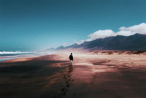 Beliebte kostenlose Bilder der letzten 30 Tage · Pexels
