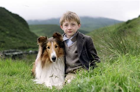 Nieuwe Lassie Achterkleinkind Originele Hond Nrc