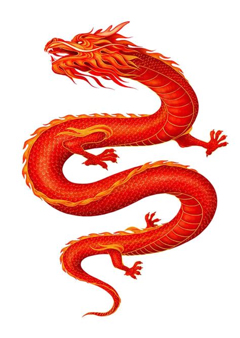Pin By Koixion Long On Dragons Chinese Dragon Art Chinese Dragon