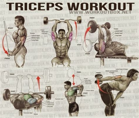 The Best Triceps Exercises For Mass Fitness Workouts And Exercises