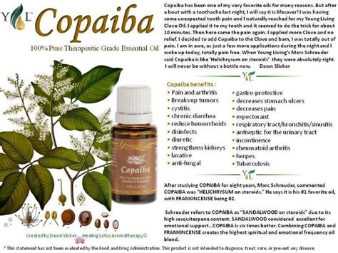 It aids in faster healing and accelerates it has been successfully used in aromatherapy for relaxation and mood enhancement. Copaiba | Young Living Essential Oils | Pinterest