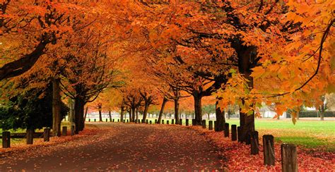 The 10 Best Places In Vancouver To Watch The Leaves Turn Colour This