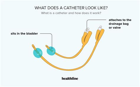 Urinary Catheters Uses Types And Complications
