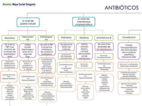 Mapa Conceptual Antibioticos Udocz The Best Porn Website