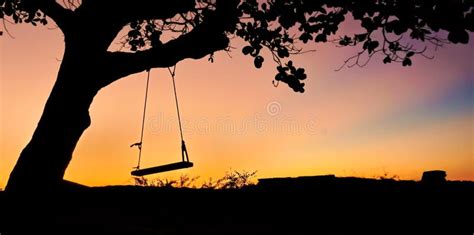 Swing In The Sunset Stock Photo Image Of Orange Freedom 40681948