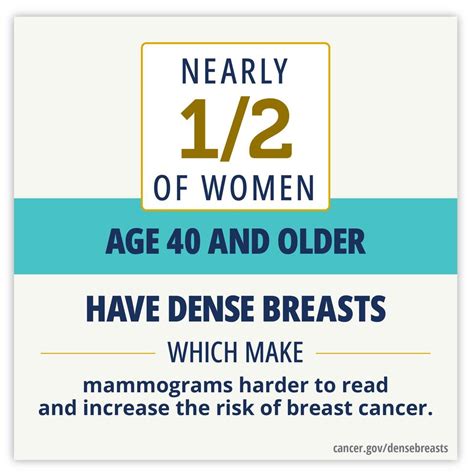 dense breasts answers to commonly asked questions nci breast cancer