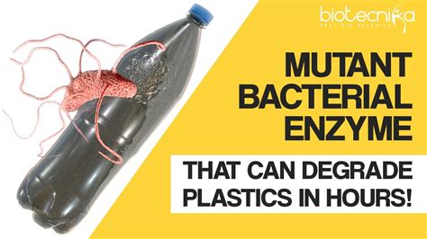 Mutant Bacterial Enzyme Discovered That Can Degrade Plastics In Hours