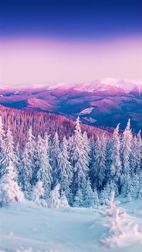 Purple Winter Wallpapers Top Free Purple Winter Backgrounds