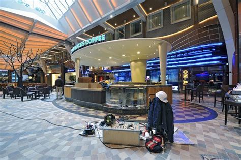 The biggest in the world, in fact, at 362m (1,187 ft) long, 63m (208 ft) wide and 72m (236 let's go through what's inside this monstrosity. @BuanaTRI: Allure Of The Seas