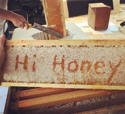 Sweetnes Raw Unfiltered Texas Honey