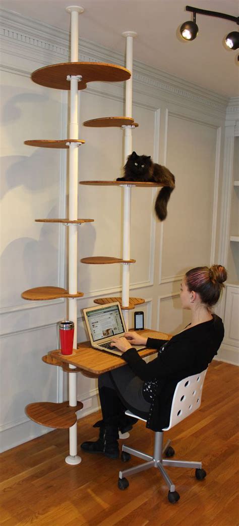 25 Indoor Cat Tree Ideas For Play And Relax Obsigen