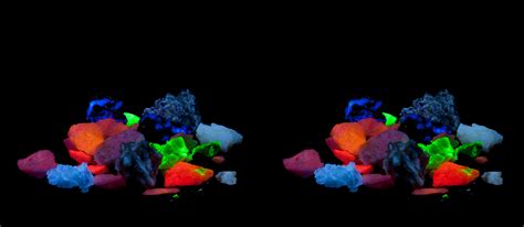 Small Pieces Of Fluorescent Minerals Longwave Shortwave Uv