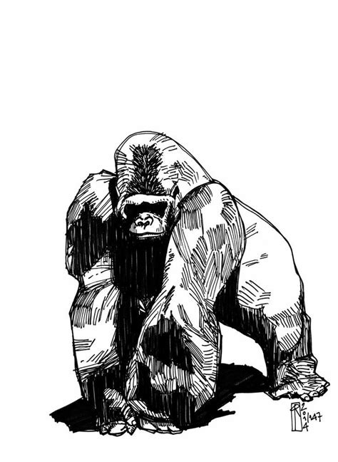 Gorilla Tattoo Design Gorilla Tattoo Gorillas Art Animal Sketches