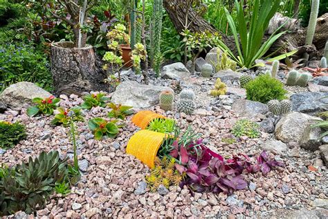 How To Build A Small Garden Rockery Fasci Garden