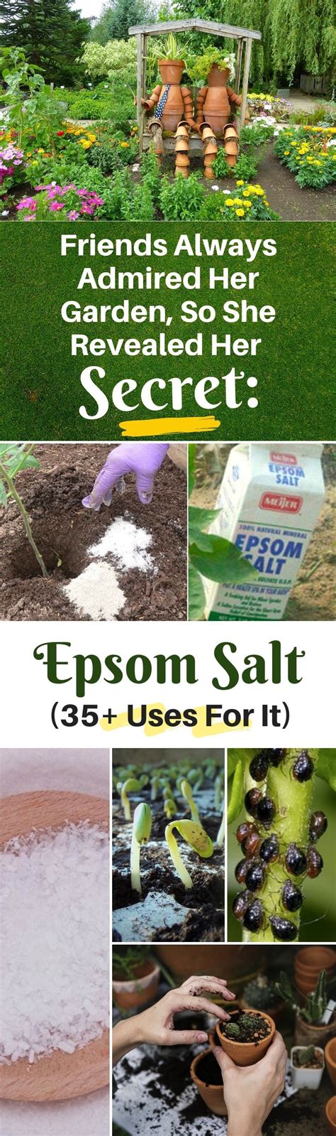 40 Weird But Extremely Clever Uses For Epsom Salt At Home In The Garden And For Your Body