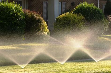 Do It Yourself Underground Sprinkler Guide Landscape Maintenance