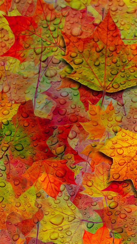 Autumn Season Hd Wallpapers Wallpaper Cave