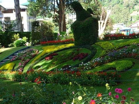 Victoria Park Nuwara Eliya Timings Entry Fee Best Time To Visit