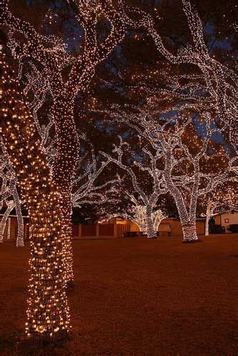 Make big lots your first stop for christmas gifts and décor! DIY - How to Wrap a Tree in Lights #diy #christmaslights # ...