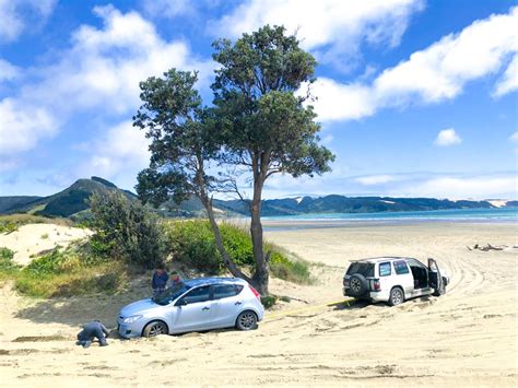 Ninety Mile Beach Discover Winterless Up North New Zealand