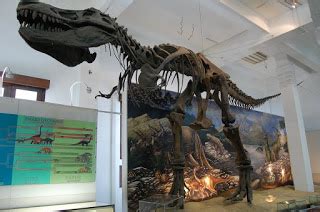 Museum geologi akan ✅ memberi pengetahuan tentang alam hingga ? PAKET WISATA EDUKASI BANDUNG HISTORY 2D1N