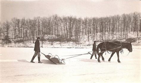 Plowing Horses Snow Horse Drawn