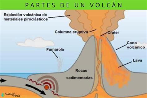 Partes De Un Volcán Resumen Y Esquemas