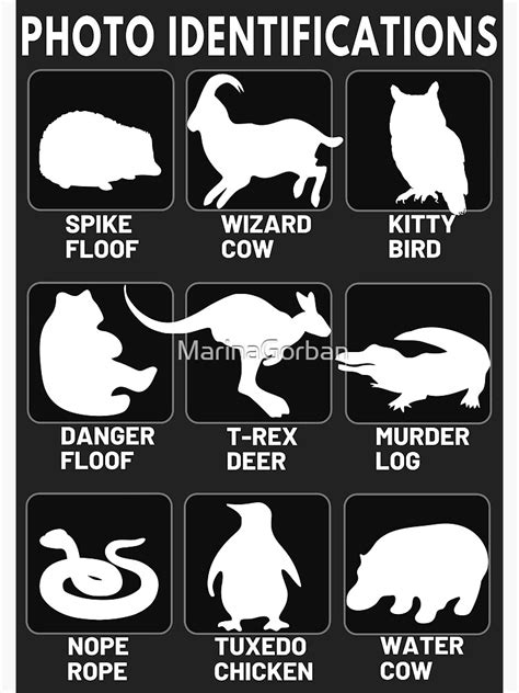 Alternate Animal Names Photo Identification Funny Labels Poster For