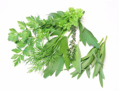 Диета богатая белками меню Меню на 1500 килокалорий в день: как сделать его нескучным | Еда.ру | Дзен Меню на 1500 килокалорий в день: как сделать его нескучным | Еда.ру | Дзен Диета богатая белками меню