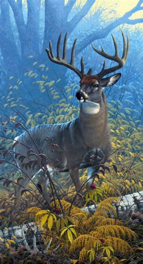 Pin By Rockfishjohn On Wildlife Art Deer Art