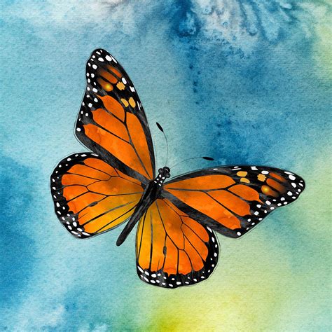 Pin By Charlie Alolkoy On Alolkoy Art Monarch Butterfly Monarch