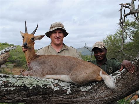 Trophy Mountain Reedbuck Hunting In South Africa Big Game Hunting